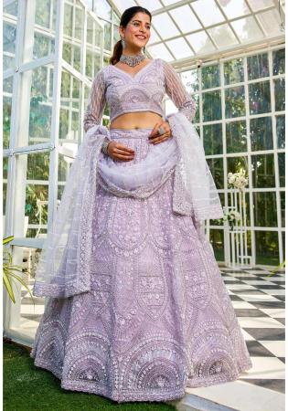 Picture of Exquisite Net Silver Lehenga Choli