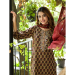 Picture of Cotton & Silk Saddle Brown Readymade Salwar Kameez