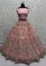 Picture of Gorgeous Net Rosy Brown Lehenga Choli