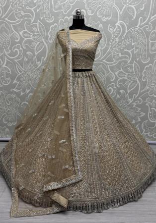 Picture of Fascinating Net Tan Lehenga Choli