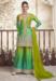 Picture of Chiffon & Silk Olive Drab Straight Cut Salwar Kameez