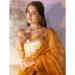 Picture of Shapely Net Golden Rod Saree