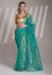 Picture of Wonderful Net Medium Aqua Marine Saree