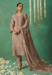 Picture of Organza Rosy Brown Straight Cut Salwar Kameez