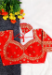Picture of Sightly Silk Red Designer Blouse