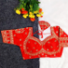Picture of Sightly Silk Red Designer Blouse