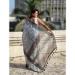 Picture of Exquisite Chiffon Silver Saree