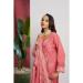 Picture of Organza Light Salmon Straight Cut Salwar Kameez