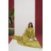 Picture of Organza Dark Khaki Straight Cut Salwar Kameez