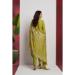 Picture of Organza Dark Khaki Straight Cut Salwar Kameez