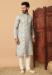 Picture of Magnificent Cotton Off White Kurtas