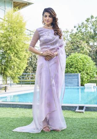 Picture of Exquisite Organza Light Steel Blue Saree