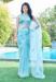 Picture of Fascinating Organza Medium Turquoise Saree