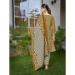 Picture of Splendid Chiffon Tan Readymade Salwar Kameez