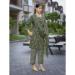 Picture of Chiffon Dark Olive Green Readymade Salwar Kameez