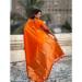 Picture of Gorgeous Silk Orange Red Saree