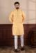 Picture of Wonderful Cotton Pale Golden Rod Kurtas