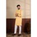Picture of Wonderful Cotton Pale Golden Rod Kurtas