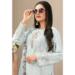 Picture of Georgette Off White Straight Cut Salwar Kameez