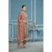 Picture of Organza Rosy Brown Straight Cut Salwar Kameez
