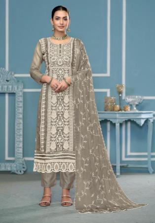 Picture of Pretty Organza Grey Straight Cut Salwar Kameez
