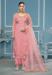 Picture of Organza Pale Violet Red Straight Cut Salwar Kameez