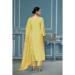 Picture of Organza Burly Wood Straight Cut Salwar Kameez