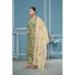 Picture of Organza Dark Olive Green Straight Cut Salwar Kameez