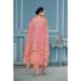 Picture of Organza Indian Red Straight Cut Salwar Kameez