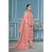 Picture of Organza Indian Red Straight Cut Salwar Kameez