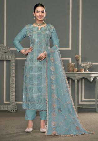 Picture of Organza Slate Grey Straight Cut Salwar Kameez