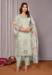 Picture of Chiffon Medium Spring Green Readymade Salwar Kameez