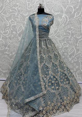Picture of Exquisite Net Light Slate Grey Lehenga Choli