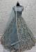 Picture of Exquisite Net Light Slate Grey Lehenga Choli