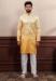 Picture of Statuesque Silk Tan Kurtas