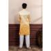 Picture of Statuesque Silk Tan Kurtas