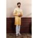 Picture of Statuesque Silk Tan Kurtas