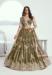 Picture of Stunning Net Dark Olive Green Lehenga Choli