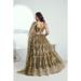 Picture of Stunning Net Dark Olive Green Lehenga Choli