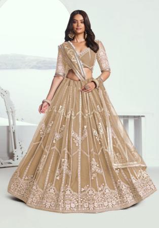Picture of Splendid Net Beige Lehenga Choli