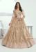 Picture of Splendid Net Beige Lehenga Choli