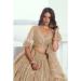Picture of Splendid Net Beige Lehenga Choli