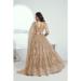 Picture of Splendid Net Beige Lehenga Choli