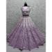 Picture of Gorgeous Net Fuchsia Lehenga Choli