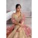 Picture of Splendid Silk Tan Lehenga Choli
