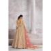 Picture of Splendid Silk Tan Lehenga Choli