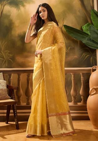 Picture of Gorgeous Organza Chocolate Saree