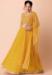 Picture of Delightful Georgette Golden Rod Lehenga Choli
