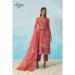 Picture of Comely Chiffon Sienna Readymade Salwar Kameez