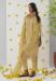 Picture of Alluring Chiffon Dark Khaki Readymade Salwar Kameez